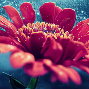 Flower Water Fantasy - 528 Hz Frequency Music - Relaxing Music Video